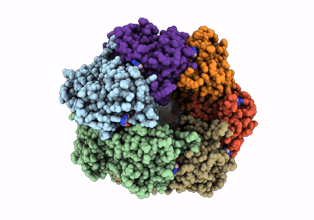 7S65 image