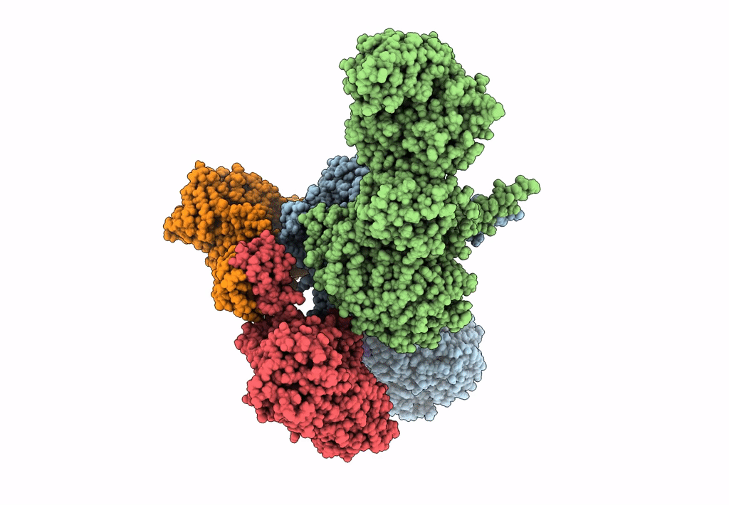 7S6B image