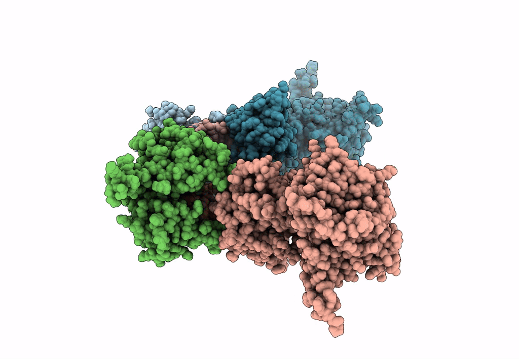 7S6H image