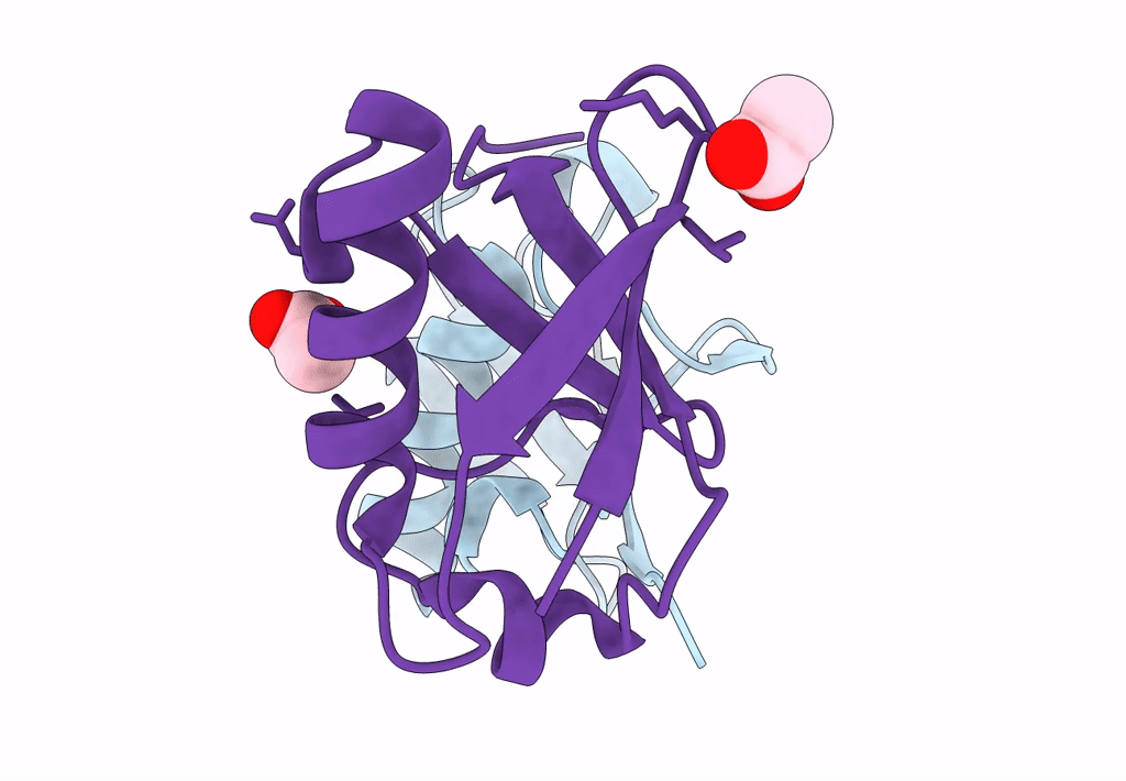 7S6O image