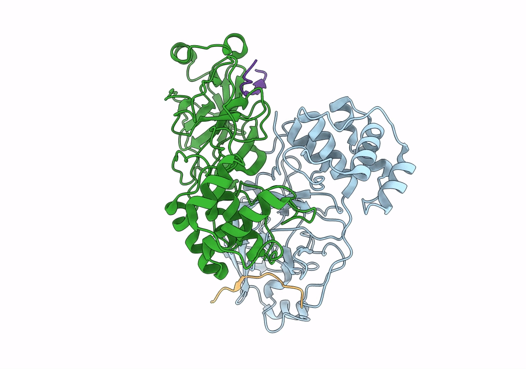 7S82 image