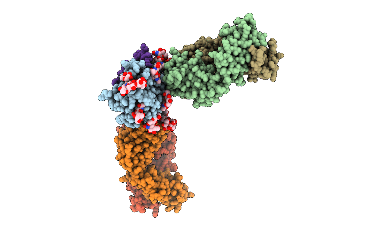 7S8H image