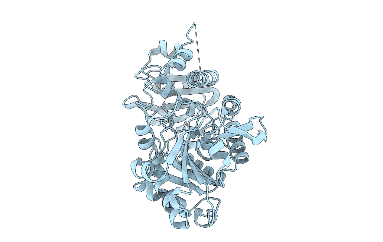 7S91 image
