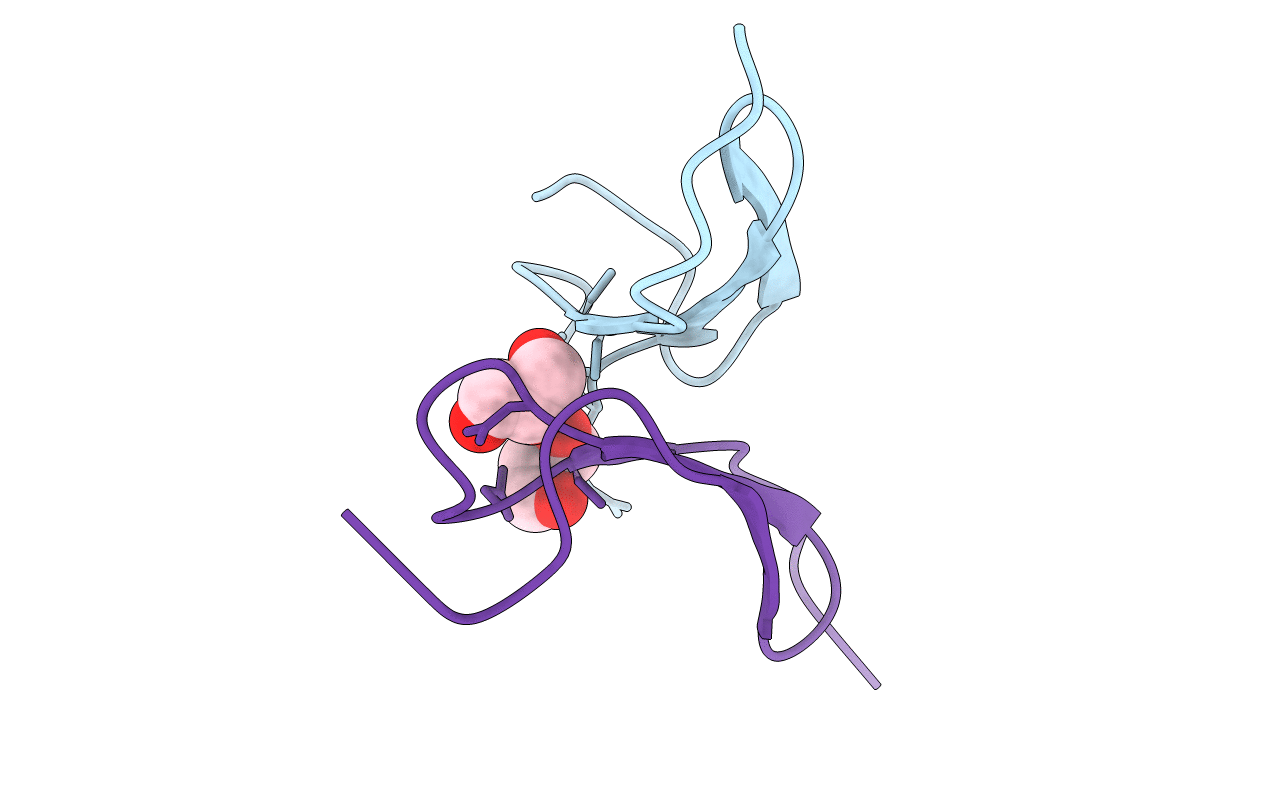 7SAP image