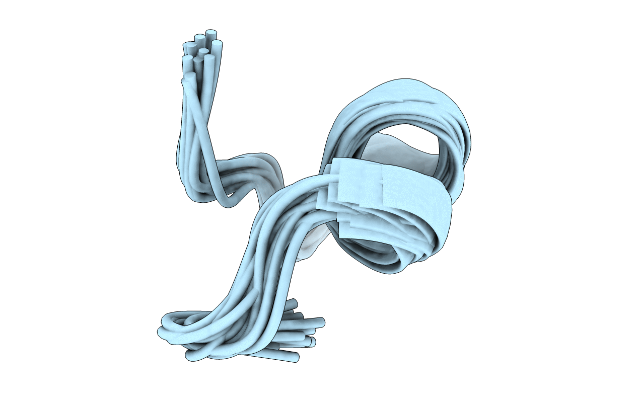 7SAV image