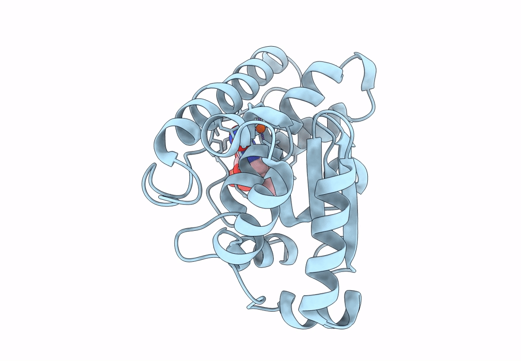 7SBH image