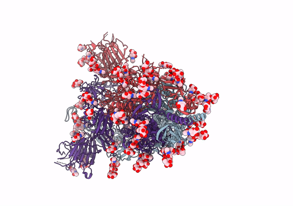 7SBK image