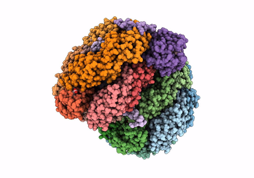 7SCB image