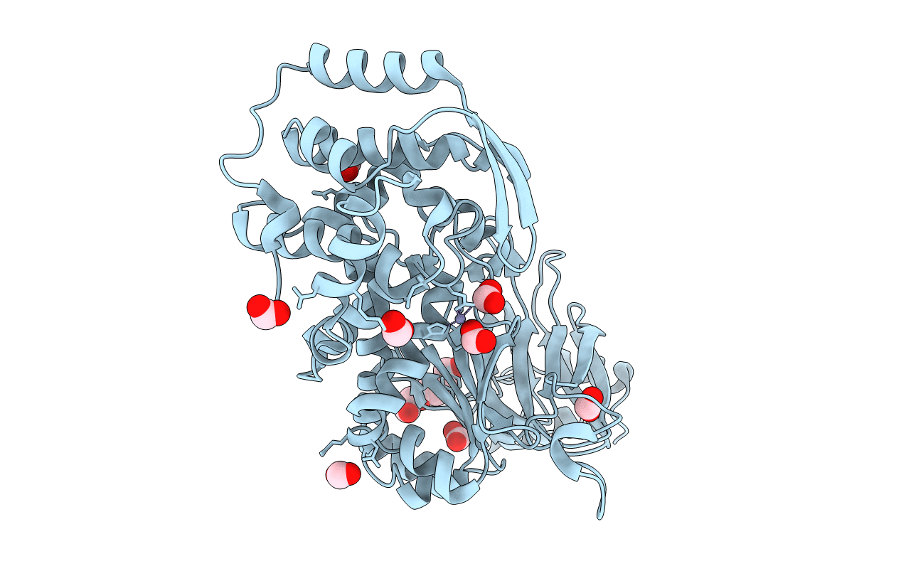 7SCI image