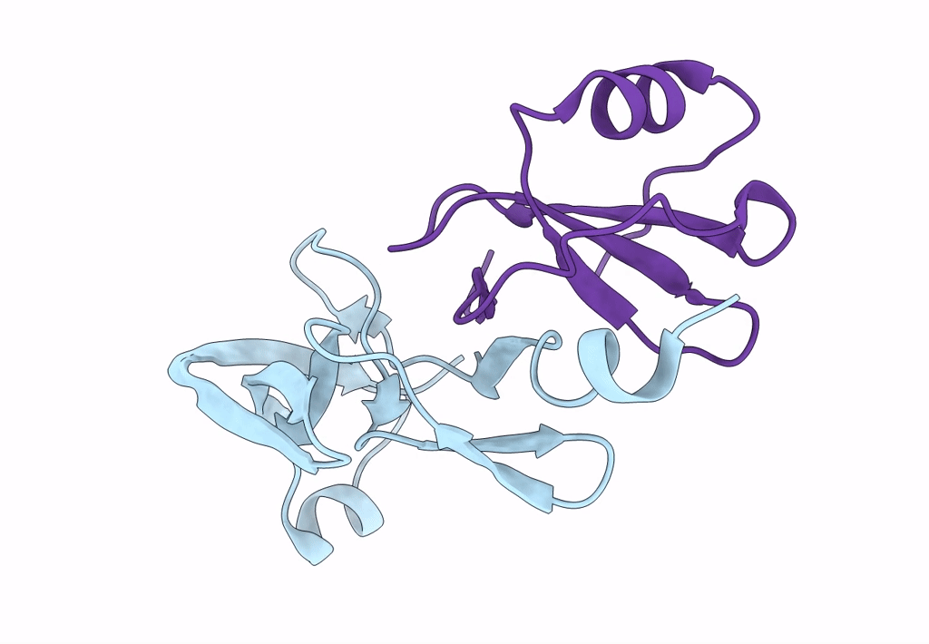 7SCT image