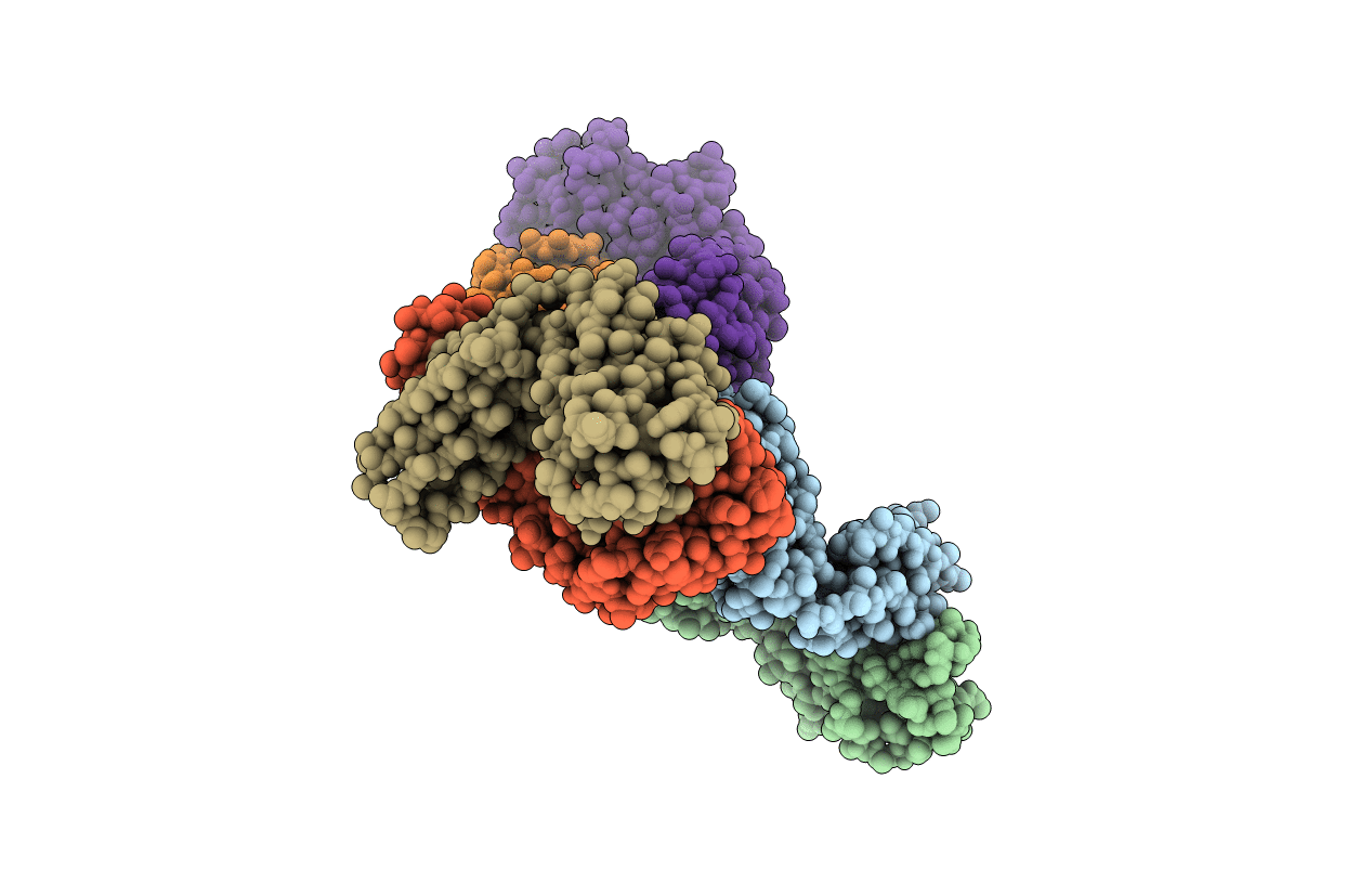 7SD2 image