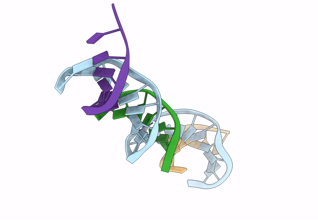 7SD8 image