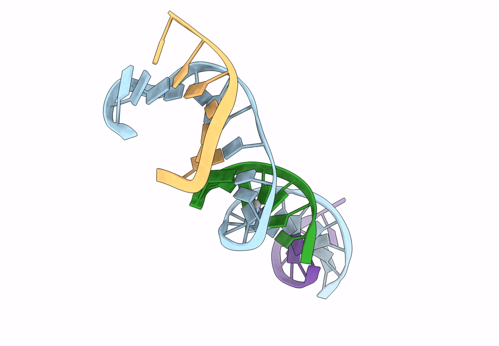 7SDH image