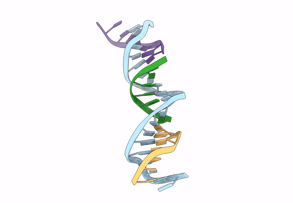 7SDI image