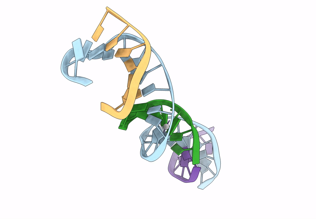 7SDJ image
