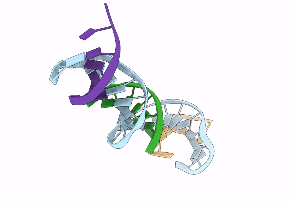 7SDK image