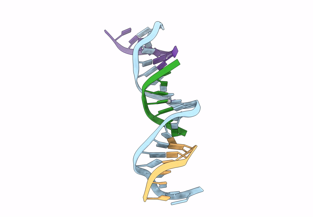 7SDL image