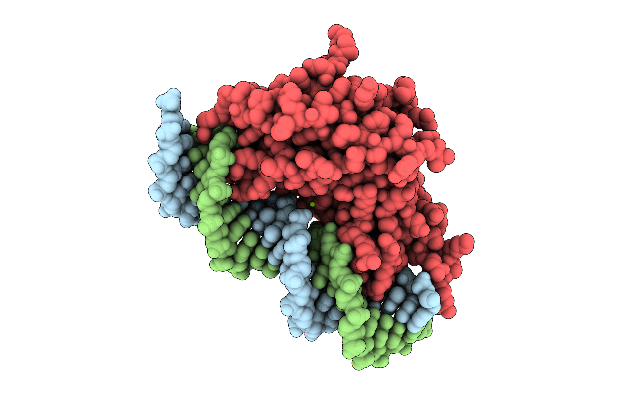 7SDP image