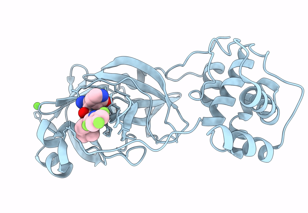 7SFI image