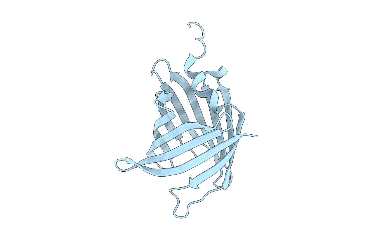 7SFP image