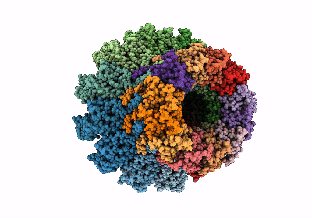 7SFS image