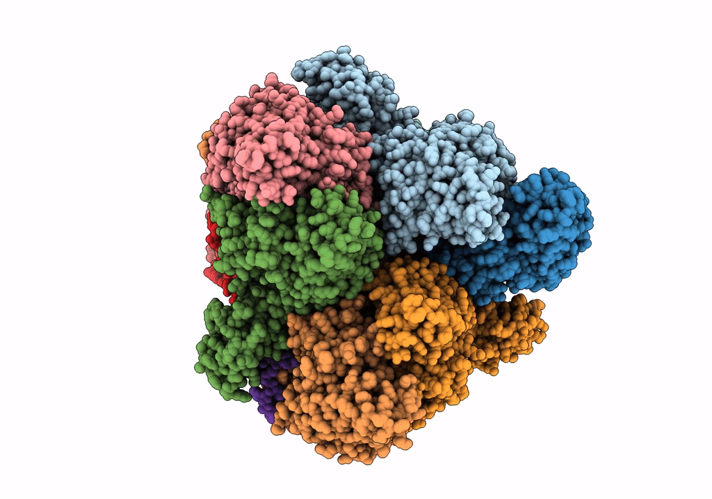 7SGR image