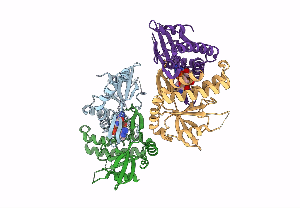 7SHP image