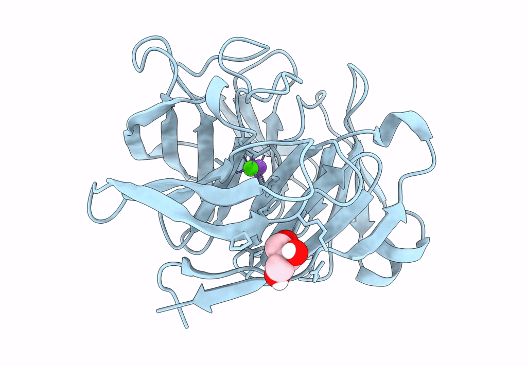 7SIB image