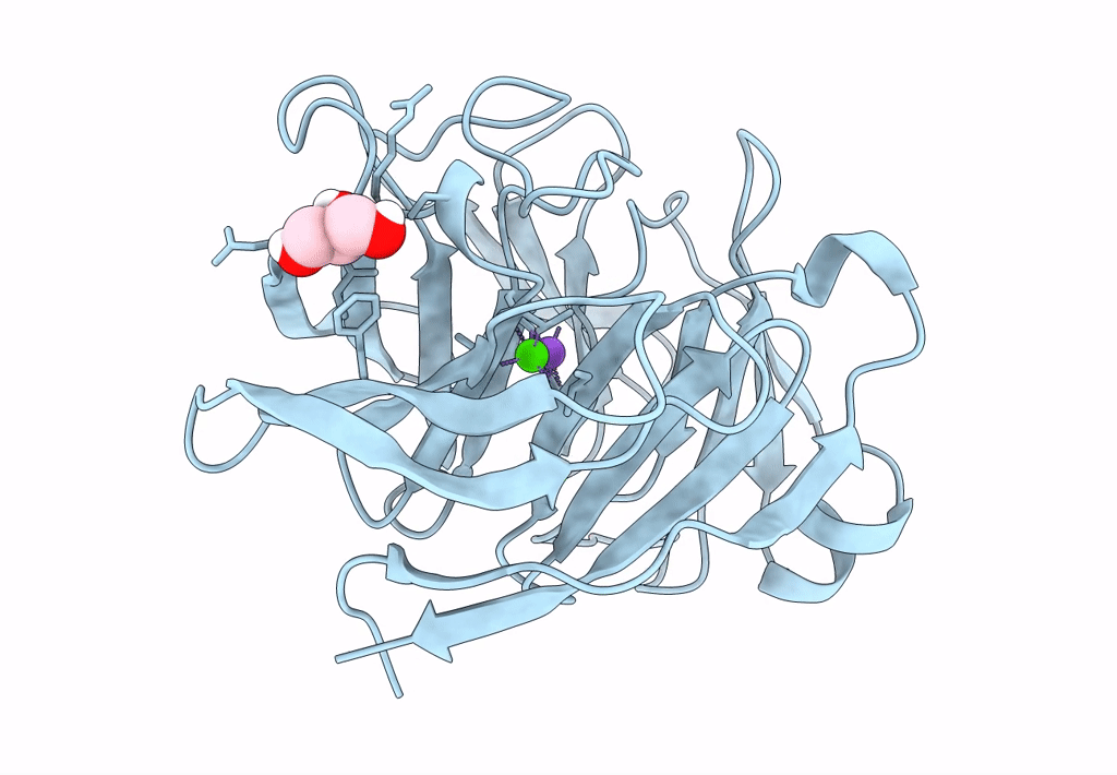7SIJ image