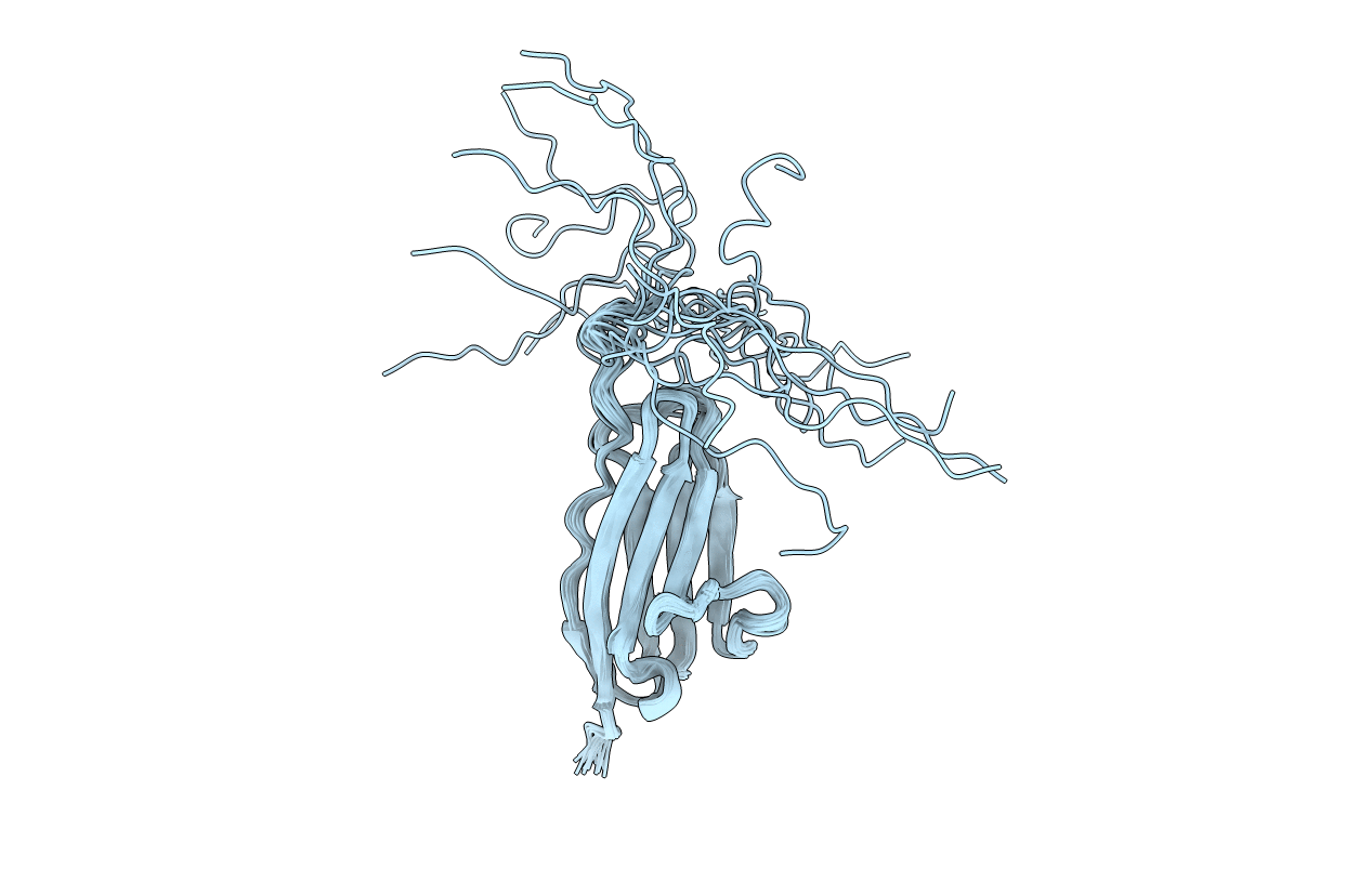 7SJL image