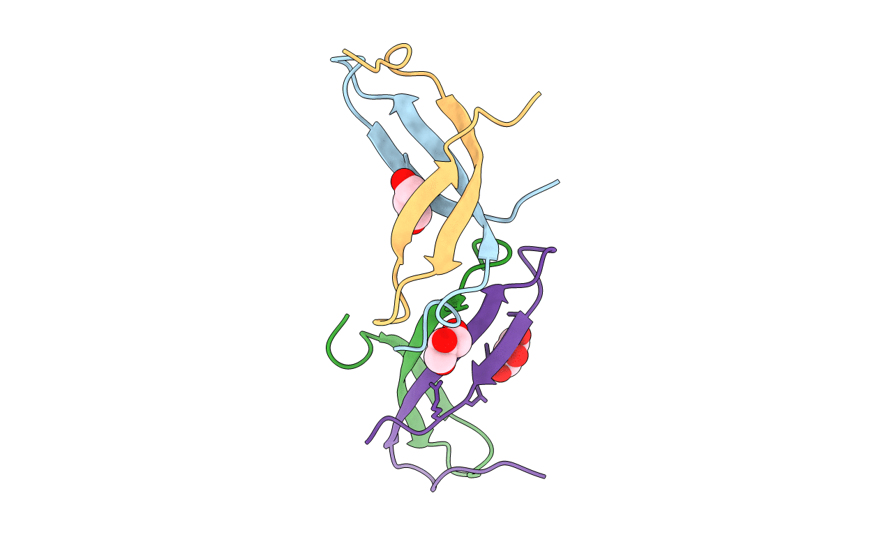 7SLT image