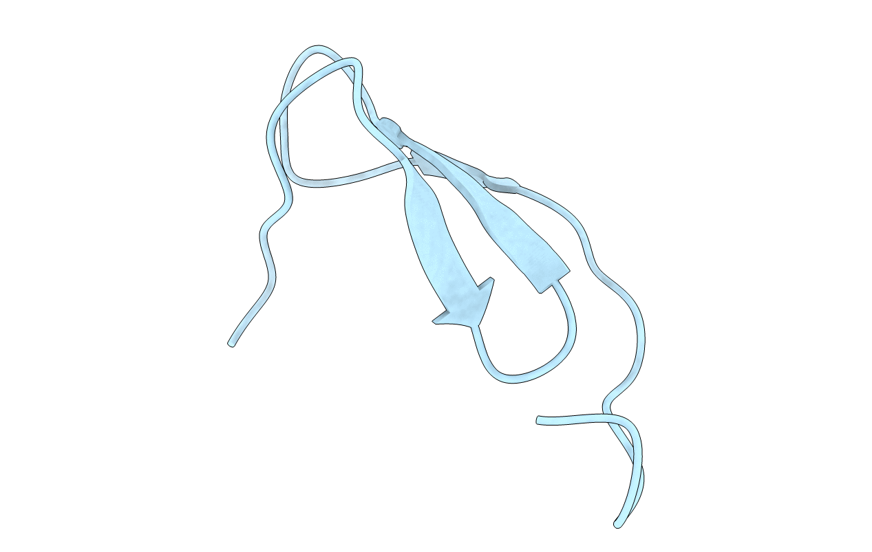 7SNC image