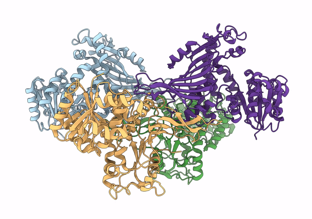 7SNG image