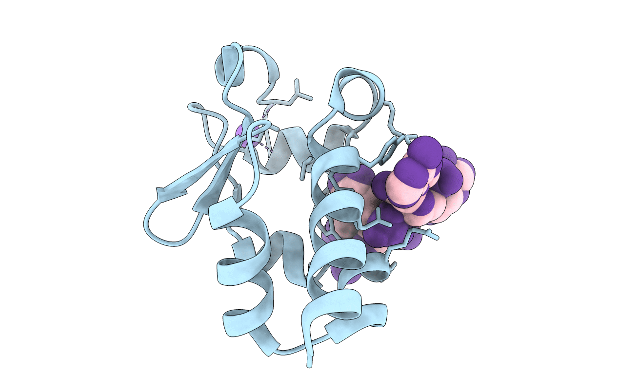 7SOS image