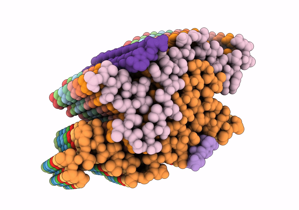 7SP1 image