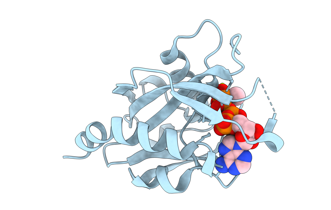 7SP3 image