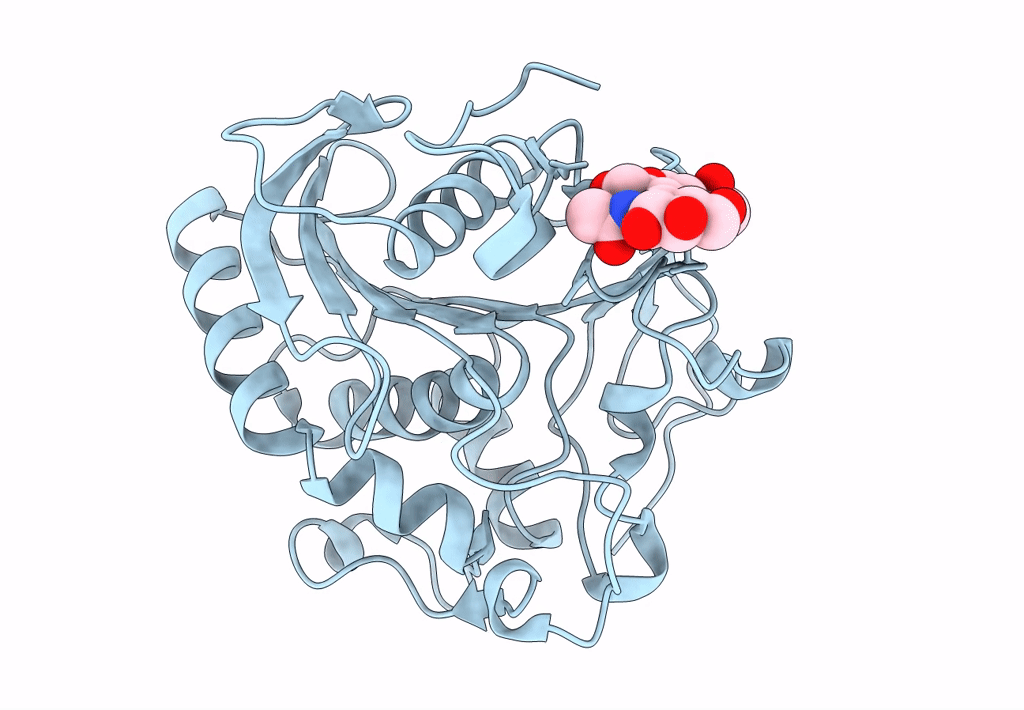 7SPR image