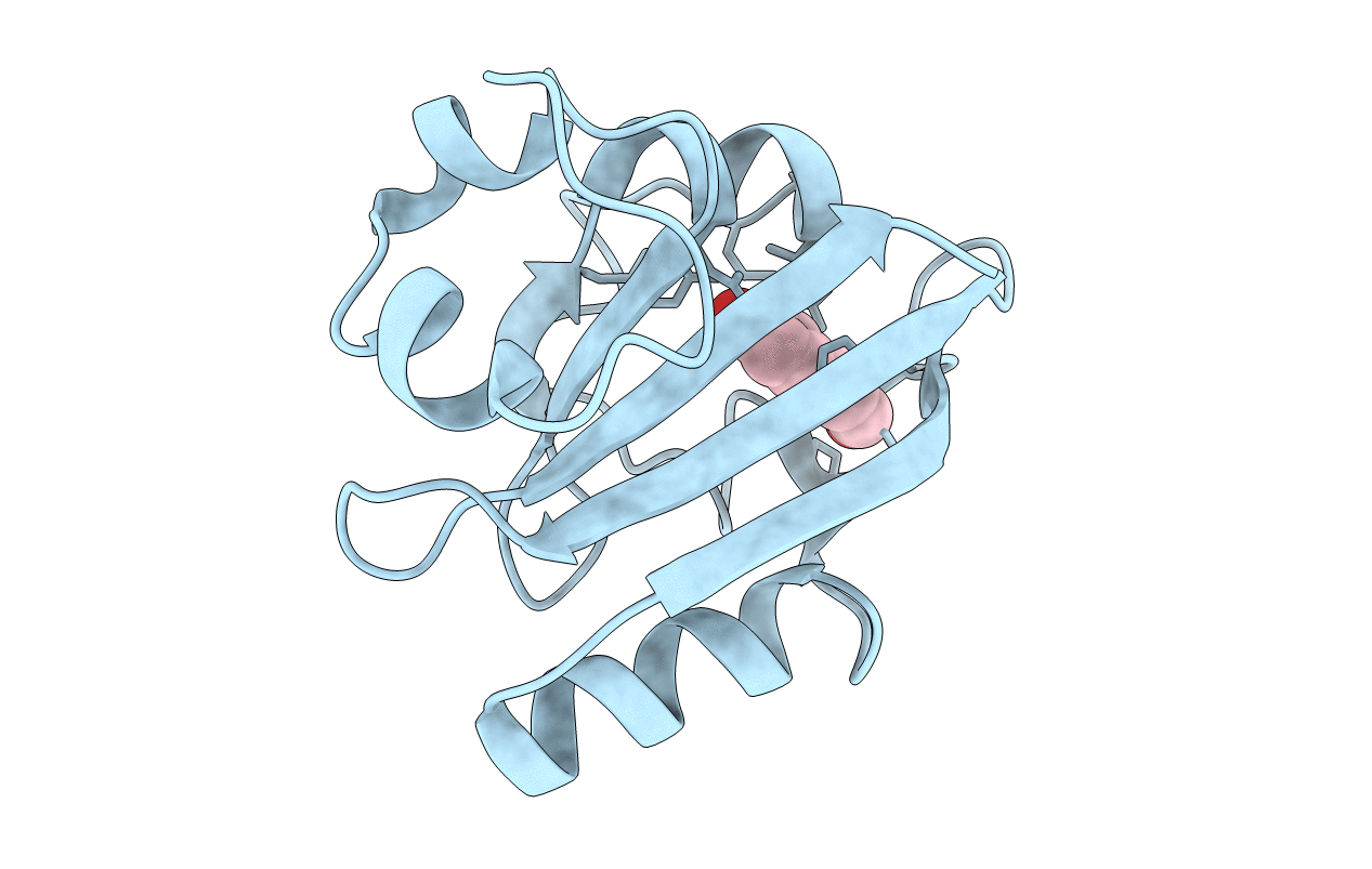7SPX image