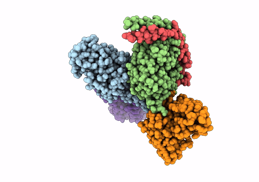 7SRR image