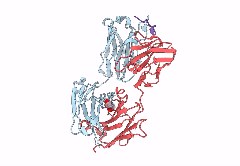 7SSC image