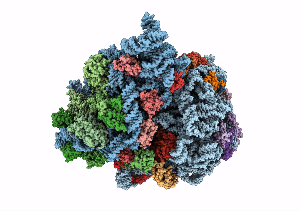7SSW image