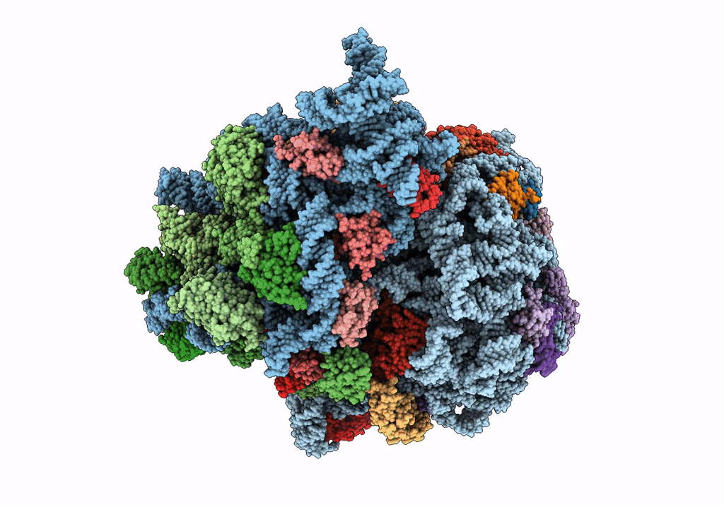 7ST2 image