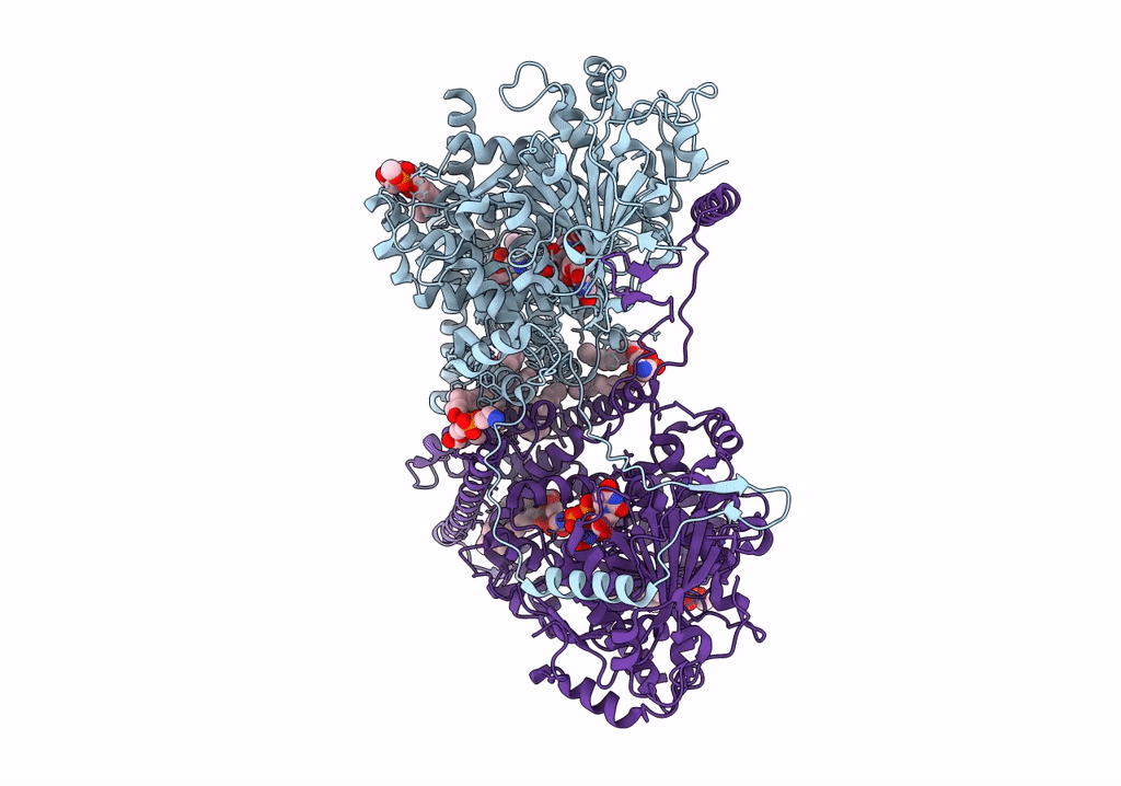 7STM image