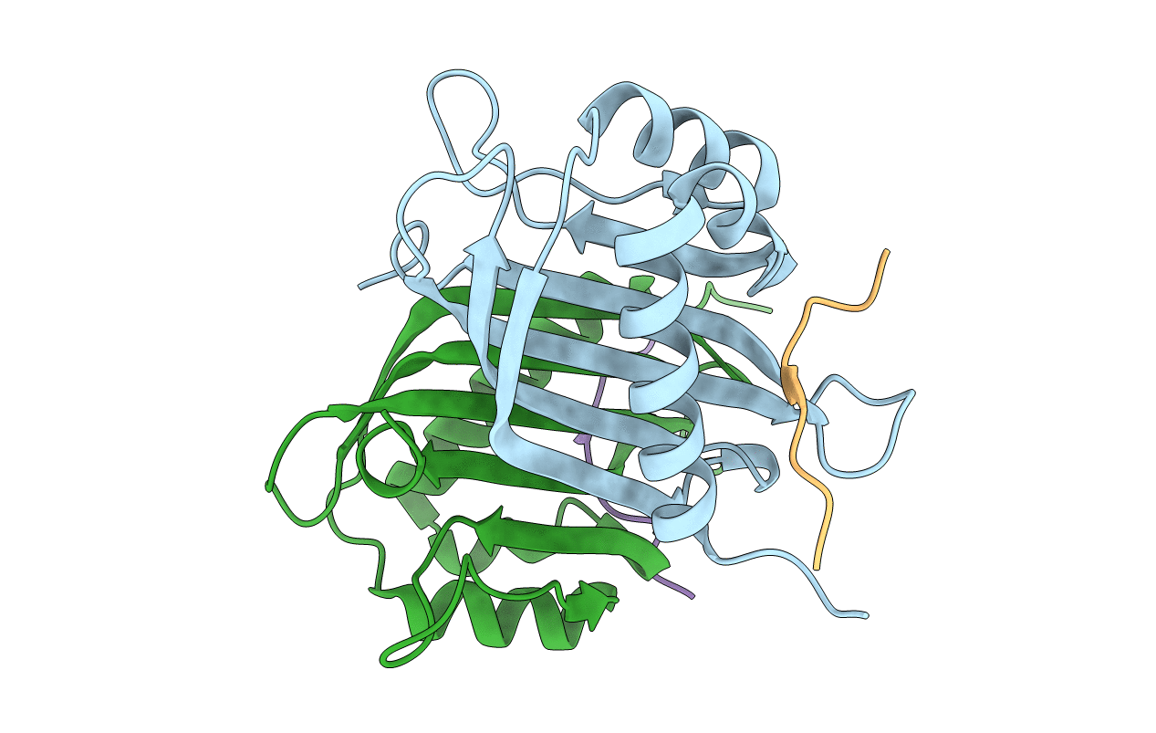 7SUO image