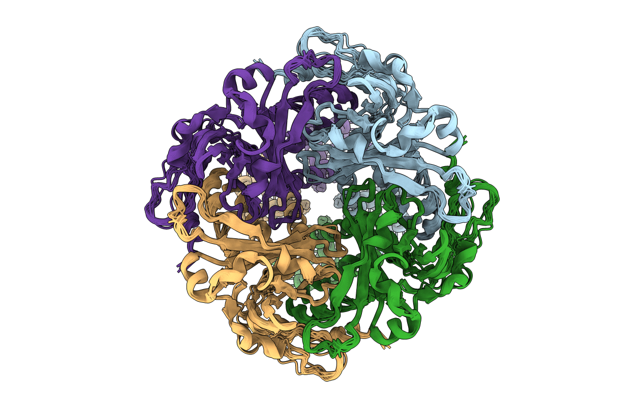7SWJ image