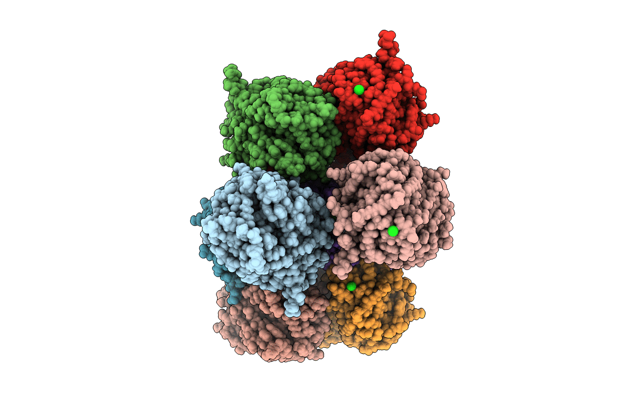 7SWS image