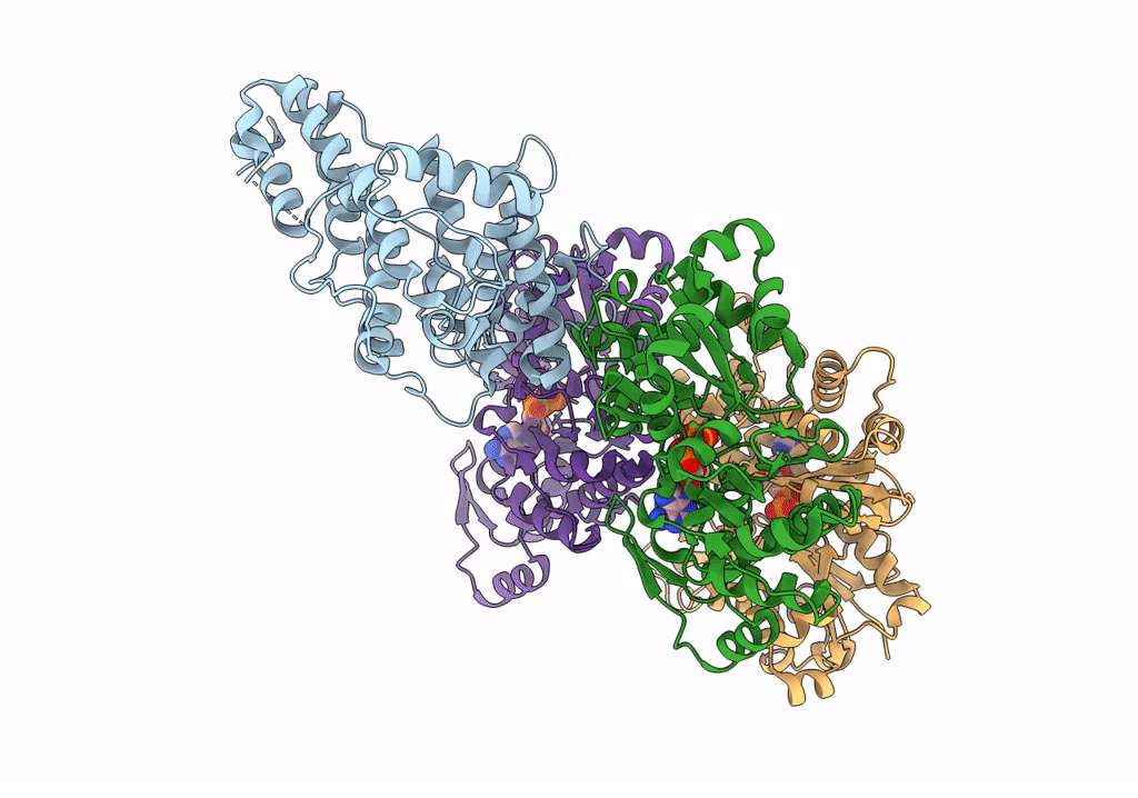 7SXA image