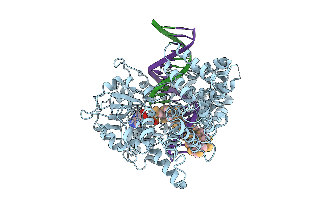 7SXE image
