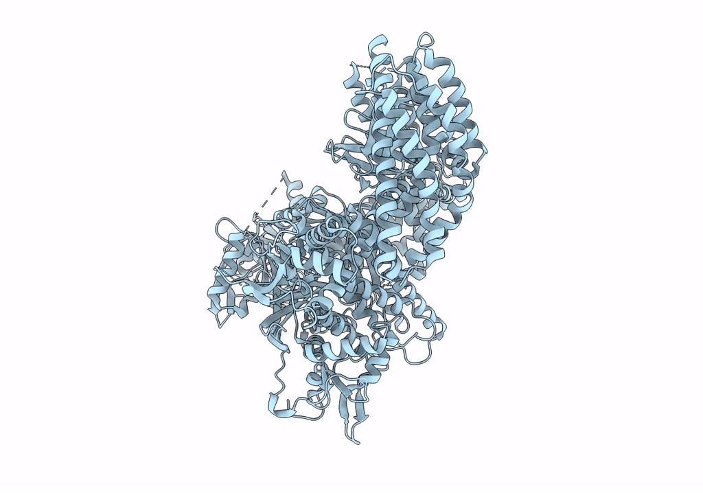 7SYF image