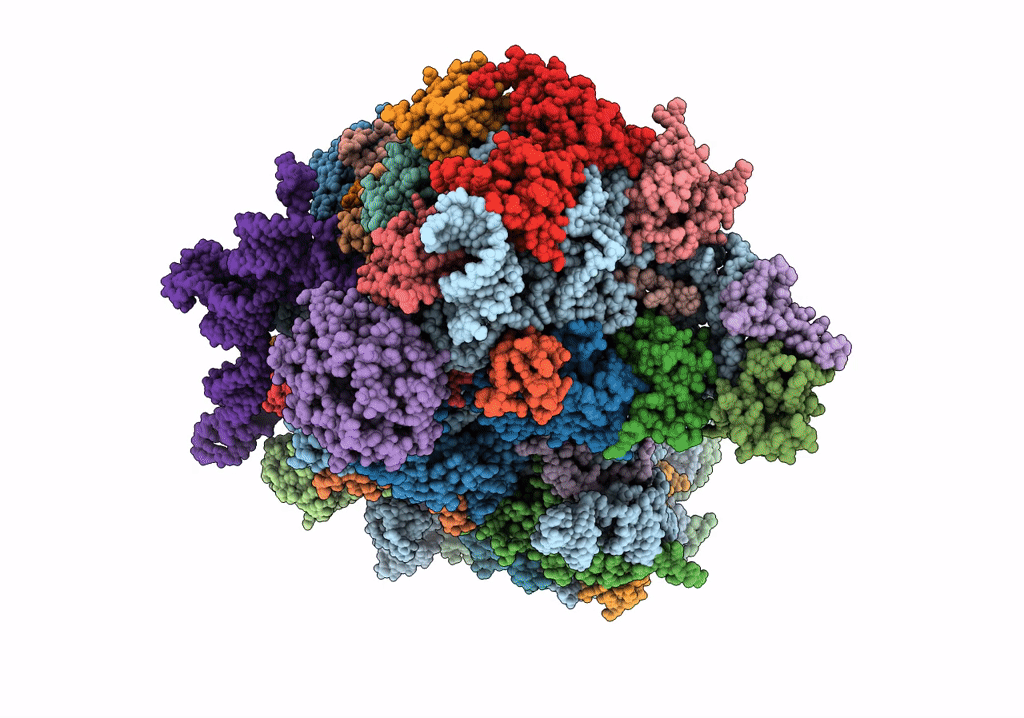 7SYN image